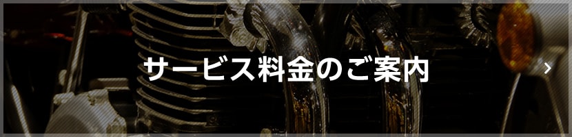 サービス料金のご案内